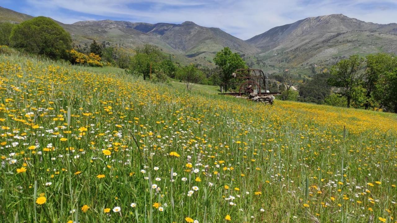 Quinta Do Torgal - Alojamento Local Уняйш-да-Серра Екстер'єр фото